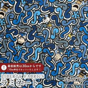 PEANUTS(TM)Xk[s[×oeBt@ubNX Y~l[g(rj[R[eBOn)Squiggly Story(XNCO[EXg[[)yu[zMATLAMI-DC34863-J25B