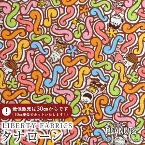 PEANUTS(TM)Xk[s[×oeBt@ubNX Y^i[nSquiggly Story(XNCO[EXg[[)ysNzDC34863-J25D