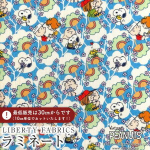 PEANUTS(TM)Xk[s[×oeBt@ubNX Y~l[g(rj[R[eBOn)Friendship Blooms(thVbvEu[Y)yCgu[×CgO[zMATLAMI-DC34