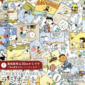 PEANUTS(TM)Xk[s[×oeBt@ubNX Y~l[g(rj[R[eBOn)Comic Strip Cosmos(R~bNEXgbvERXX)yCG[IWzMATLAMI-DC34865-J25C