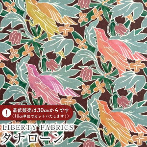 LIBERTY FABRICS oeBvg C^A^i[nHuckle(nbN)yO[zs2025AW From the Studiot3635226-25CU