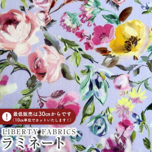 LIBERTY FABRICS oeBvg Y~l[g(rj[R[eBOn)Promenade(vi[h)yx_[tB[hzMATLAMI-DC31660-C