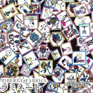 PEANUTS(TM)Xk[s[×oeBt@ubNX Y~l[g(rj[R[eBOn)Stamp Collection(X^vERNV)y_[NuEnzMATLAMI-DC33935-J25D