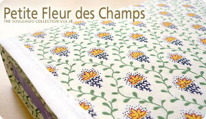 SOULEIADO \CA[hV[`OnveBEt[EfEV@AC{[nSLF-18A \CA[h n