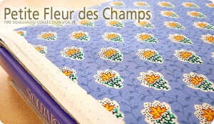 SOULEIADO \CA[hV[`OnveBEt[EfEV@u[nSLF-18B \CA[h n