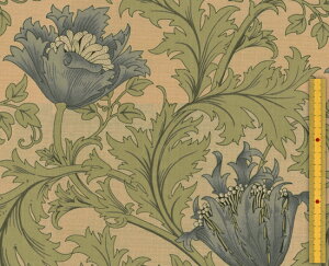 moda fabrics(_Et@ubNX)William Morris EBAX V[`OnAnemone(All)TURTLE DOVE(^[g_u)8217-22