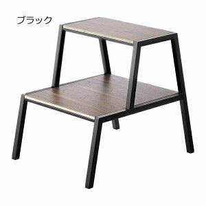 m ݑ ^[ 2i nR tower Xebv   45cm ω׏d 100kg qǂ LbY u Lb` ʑ   ؐ i fBXvC gC  ~ L I  