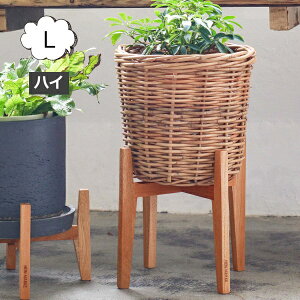 Ebh|bgX^h pr 20cmp iC}[P }zKj[ |bgX^h L nC NG Creer 92200003 yAؔ  Jo[ K[fG 킢 CeA |bgX^h ؐ