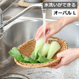 eB I[o L oXPbg 􂢂ł U  NG eB Creer UTILE 92540065 oXPbg  JS {bNX Lb`pi Lb` o [ P[X HI 