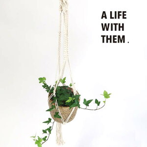 }N nMO|bg C i` ubN t[|bg   ϗtA K[fG i`K[f Aؔ  }N|bgnK[ nMO i`  9183