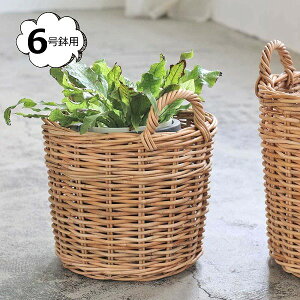 AO v^[oXPbg 6p NG Creer 92210009   [ BOX {bNX  oXPbg  JS  킢 CeA G k Lb` 䏊 rO 