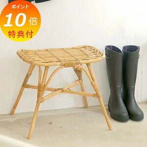 yTtz `FA[ CX ֎q NgXc[ AeB[N O NG JUGLAS Creer 91910001 wȂ AeB[N Xc[ ֎q CX  `FA[ y |Cg10{z