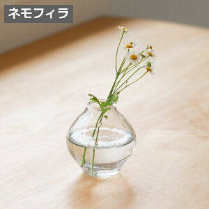 ԕr t[x[X Vi[ ~jt[x[X ltB KX NG Creer t[x[X///t[/t[OX/ԕr KX/KXx[X/Vv/ u/k/