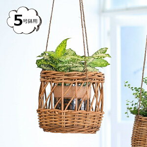 AO艺 5p AO THE AROROG 92210033 [{bNX  oXPbg   [ BOX {bNX  oXPbg  JS  킢 CeA G k