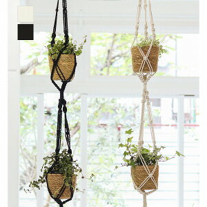 }N nMO|bg2A 90mm(3)܂őΉ i` ubN NG Creer t[|bg   ϗtA K[fG i`K[f Aؔ  }N|bgnK