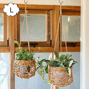 AO lXgnMOoXPbg L THE AROROG Creer NG 92410007 [ oPc BOX {bNX oXPbg  JS Lb` rO Ǌ| EH[oXPbg