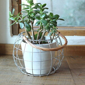 nhoXPbg  t NG Creer 92450016   [ {bNX  h[  oXPbg  JS  CeA jO G k Lb