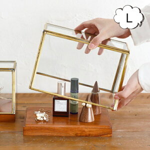 Ae uXV[P[XL Ae alten NG Creer IuWF u IuWFȂǂW KXh[P[X / GLASS DOME WpKXh[ X܏Y fBXvC AeB[N V