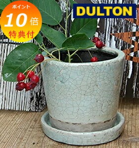 �y���T�t���z �_���g�� �J���[ �O���[�Y �|�b�g �S10�F DULTON CH13-G476 COLOR GLAZED POT