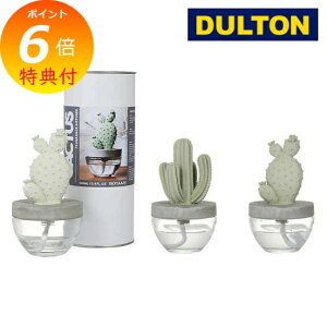 yTtz tOX fBt[U[ JN^X T{e ڂĂ _g DULTON G675-824 gI͒uƂĂg܂B ͂ A}    F 