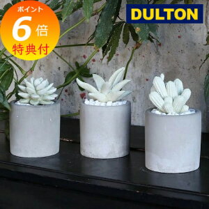 yTtz tOX fBt[U[ JN^X T{e ڂĂ _g DULTON gI͒uƂĂg܂B ͂ A}    F {g 