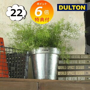 yTtz KoiCYh |bgJo[ 22 _g DOULTON K865-1095-22 GALVANIZED POT COVER 22 CeAK[fjOp Jo[Aؔ |bg AeB[N v^[ oPc K[f