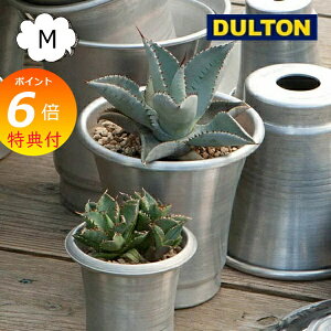 yTtz A~jE |bg M EBY \[T[ Aؔ _g DULTON  \[T[ Zbg ALUMINUM POT M WITH SAUCER NB-0462M v^[ t[|bg K[fjO  C_XgA 