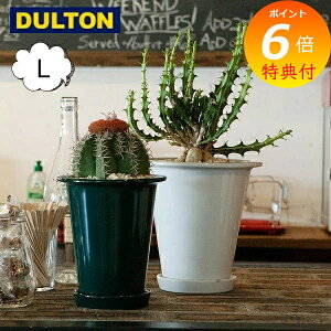 yTtz {^j[ O |bg L _g DOULTON NB-0602L CeAK[fjOp Jo[Aؔ |bg AeB[N v^[ oPc K[fjO BOTANY O|bg