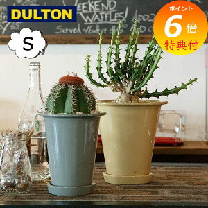 yTtz {^j[ O |bg S _g DOULTON NB-0602S CeAK[fjOp Jo[Aؔ |bg AeB[N v^[ oPc K[fjO BOTANY O|bg