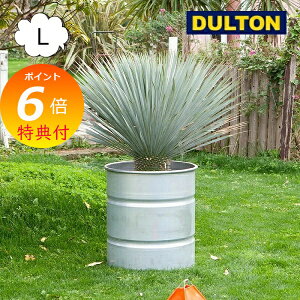 yTtz KoiCYh ^N L 12 Aؔ _g DULTON GALVANIZED TANK NBZ-0460L v^[ t[|bg K[fjO  C_XgA K[fjO |  y