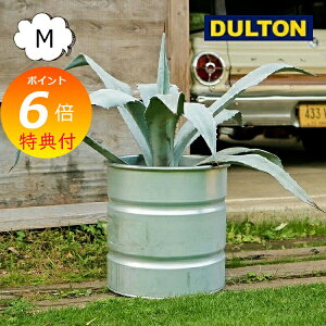 yTtz KoiCYh ^N M 11 Aؔ _g DULTON GALVANIZED TANK NBZ-0460M v^[ t[|bg K[fjO  C_XgA K[fjO |  y