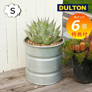 yTt z KoiCYh ^N S 10 Aؔ _g DULTON GALVANIZED TANK NBZ-0460S v^[ t[|bg K[fjO  C_XgA K[fjO |  y