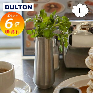 yTtz g WO/x[X L 210ml _g XeX DULTON M-0666L Lb` G  H/ʔ//Jg[/JtF/cafe