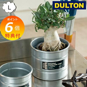 yTtz KoiCYh fXNgbv ^N Eh M _g DULTON NB-0672M CeAK[fjOp Jo[Aؔ |bg AeB[N v^[ oPc K[fj