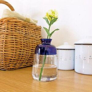 球根 ガラス 水栽培の人気商品 通販 価格比較 価格 Com