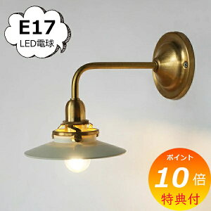 yTtz uPbgCguX E17 S[h uX ^J Ɩp[c axcis ANVX Homestead z[Xebh LEDp HS3629 E17 LEDp  v Ɩ  AeB[N v