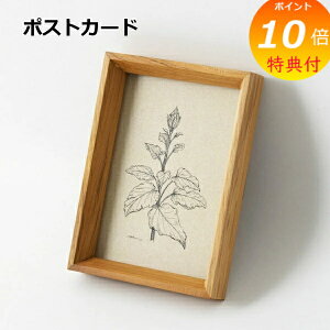 【特典付き】 フォトフレーム チークフレーム ポストカード ホームステッド アクシス Homestead HS2749 木製 ウッド 写真立て 写真たて しゃしんたて フォトフレーム ナチュラル 雑貨 インテリア