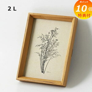 yTtz tHgt[ `[Nt[ 2L z[Xebh ANVX Homestead HS2750 ؐ Ebh ʐ^ ʐ^ Ⴕ񂽂 tHgt[ i` G CeA 