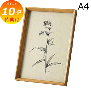 yTtz tHgt[ `[Nt[ A4 z[Xebh ANVX Homestead HS2751 ؐ Ebh ʐ^ ʐ^ Ⴕ񂽂 tHgt[ i` G CeA  