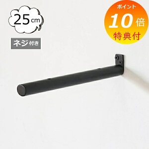 yTtz uPbg ubN AeB[N ACA XeBbN Iron Stick Shelf 250 HS3382 I ubN ACA F  AeB[NI ACAuPbg ACA I
