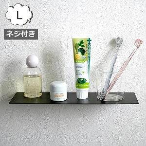 ACA v[g VFt LTCY fBXvC bN lWt AeB[N 1i z[Xebh ANVX Homestead AXCIS HS3657 bN ACAbN I VFt [ fBXvC