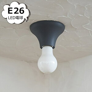 V[OCg Flare O[ Homestead z[Xebh ANVX  AeB[N g Ɩ Cg Ǌ| HS3699 yz