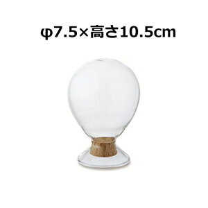 o[^ V[h{g 12.5cm 22714 9×12.5cm e ϔMKX CeA  u KXh[ WpKXh[ X܏Y fBXvC AeB[N V[P[X R