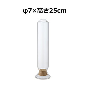 V_[^ V[h{g 25cm 22716 7×25cm e ϔMKX CeA  u KXh[ WpKXh[ X܏Y fBXvC AeB[N V[P[X RN