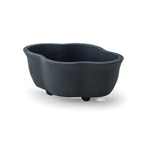 u[^|bg Aؔ  12×8.5×5cm v^[ t[|bg K[fjO  C_XgA K[fjO |  ubN Vo[ S[h