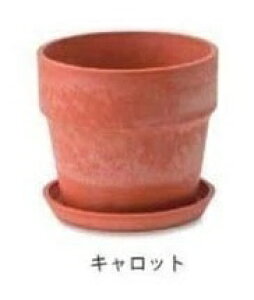 A[ovc|bg 4Ή 13.5×12.5cm `R[ ~N Vi JVX  u[x[ Aؔ v^[Jo[ t[|bg   ϗtA A T{e K