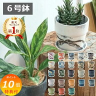 ＼楽天1位／ 【特典付き】 アーバンプランツポット 6号鉢対応 φ19.5×高さ18.5cm チャコール ミルク シ…