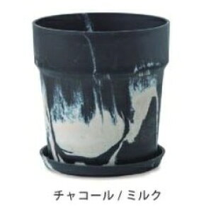 yTt z A[ovc|bg 10Ή 32.5×34cm ZT~ `R[ Vi  P[ Aؔ v^[Jo[@t[|bg   ϗtA A T{e K