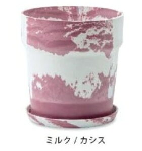 yTtz A[ovc|bg 12Ή 38×39.5cm ZT~ `R[ Vi  P[ Aؔ v^[Jo[@t[|bg   ϗtA A T{e K