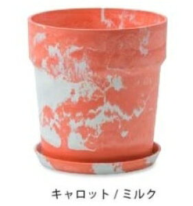 yTtz A[ovc|bg 12Ή 38×39.5cm ZT~ `R[ Vi  P[ Aؔ v^[Jo[@t[|bg   ϗtA A T{e K